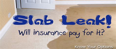 gainesville fl slab leak detection|Slab Leak Detection and Repair Gainesville Florida